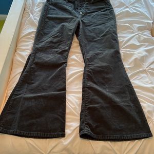 American Eagle Night time Navy corduroy Flare American Eagle